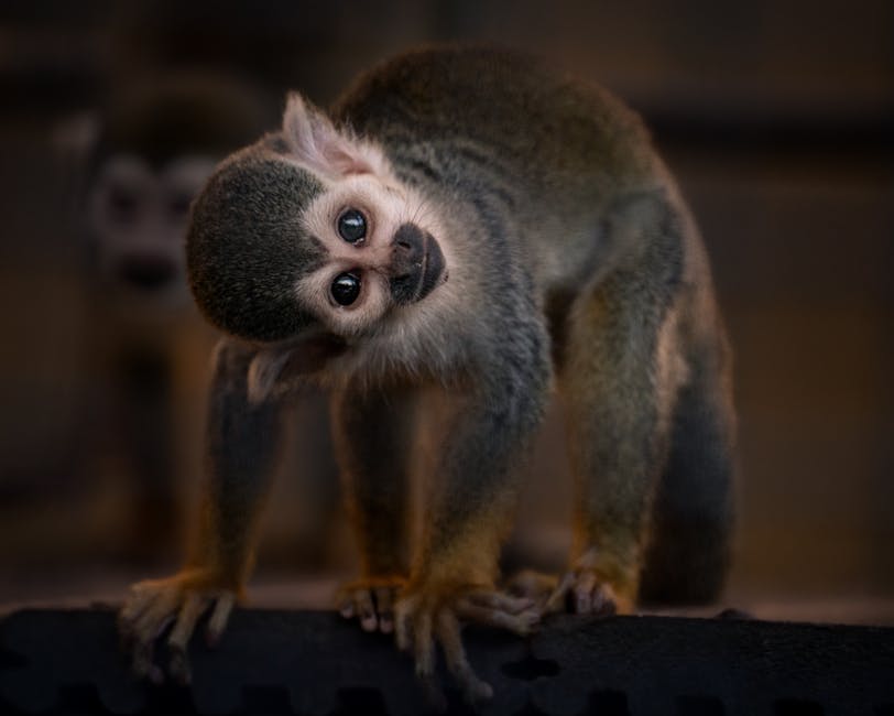 cậu bé học sinh lém lỉnh