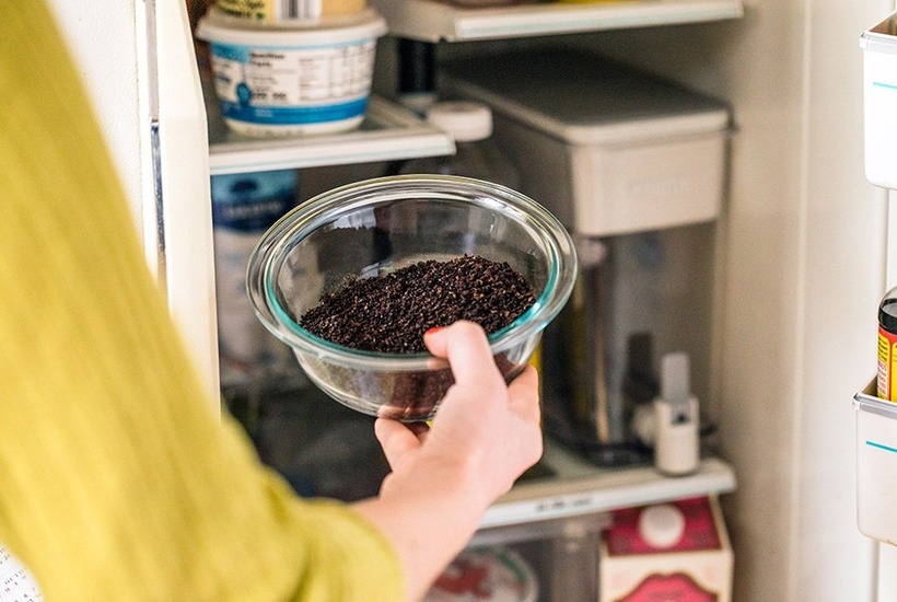 bã cà phê trong tủ lạnh