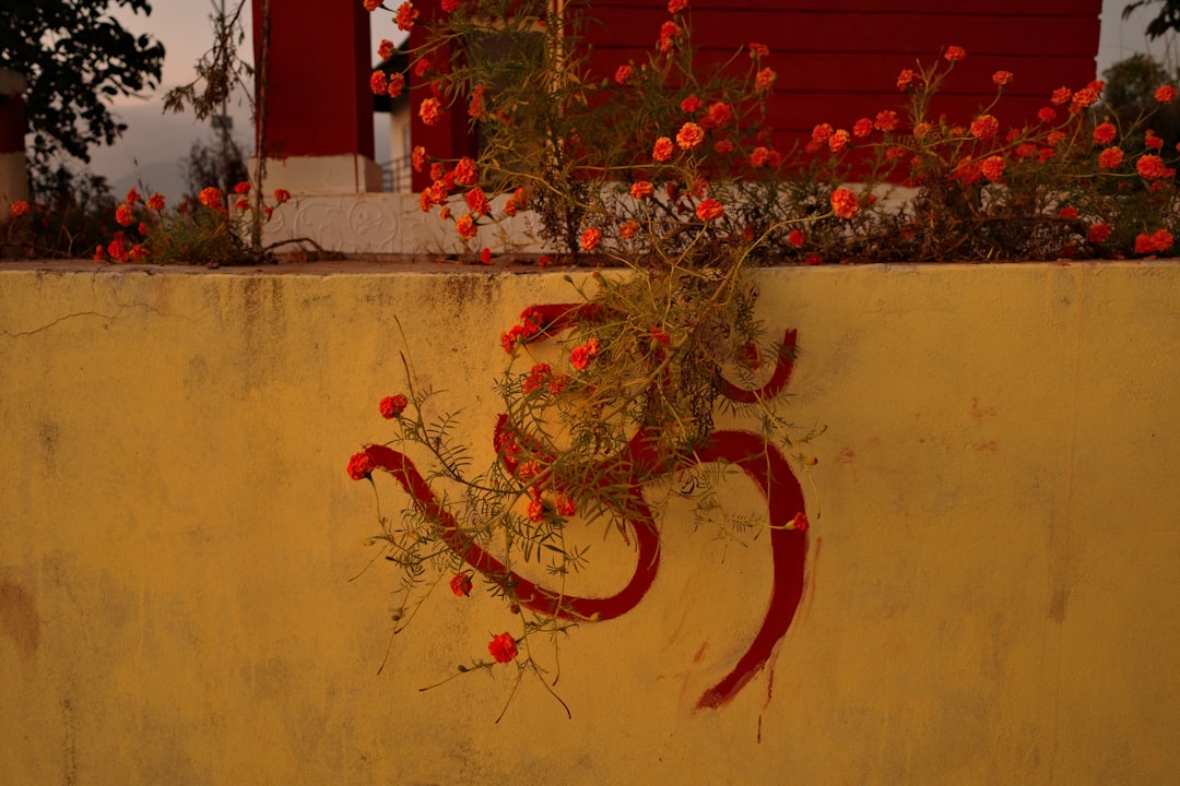 biểu tượng tâm linh