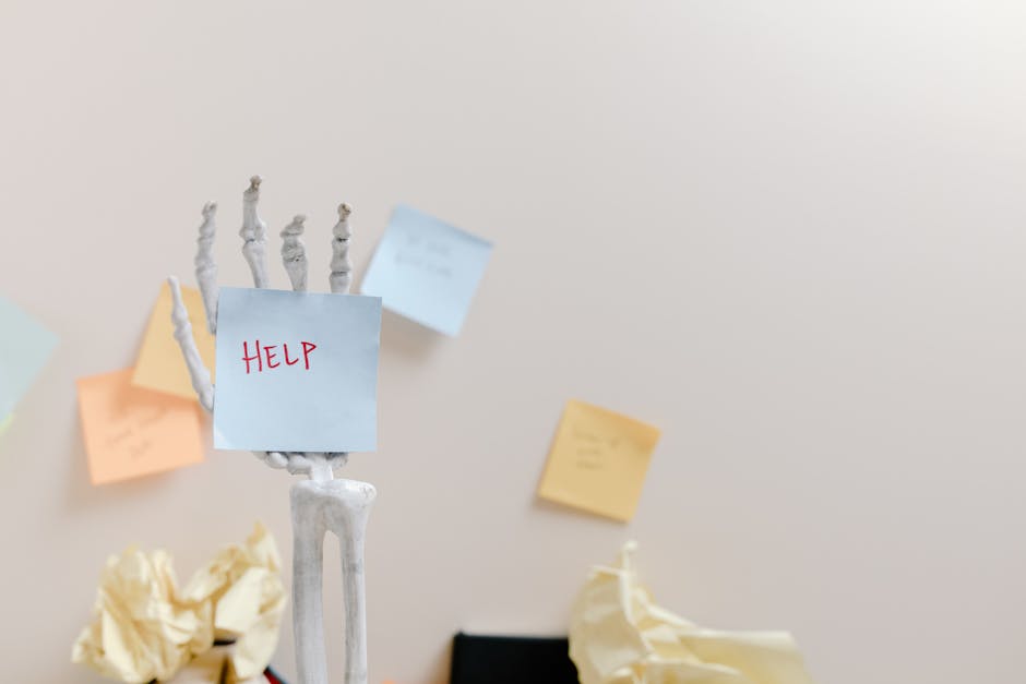 bộ xương nâng đỡ