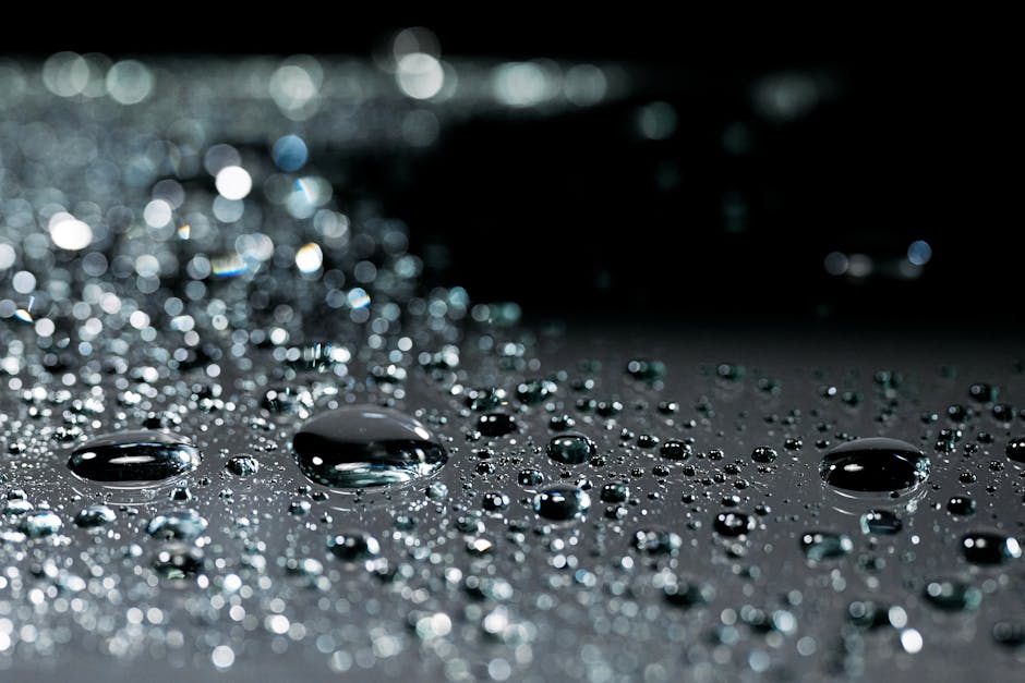 bubble sort minh họa