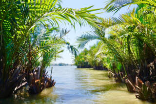 Miền Tây sông nước: Khám phá trải nghiệm du lịch độc đáo