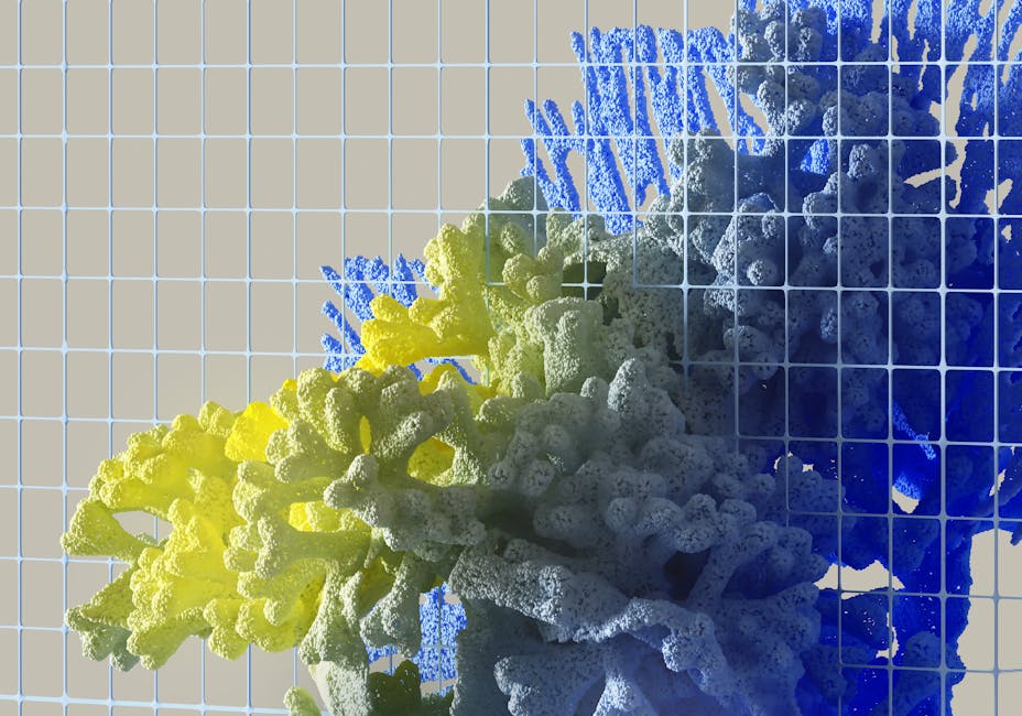 cấu trúc dữ liệu