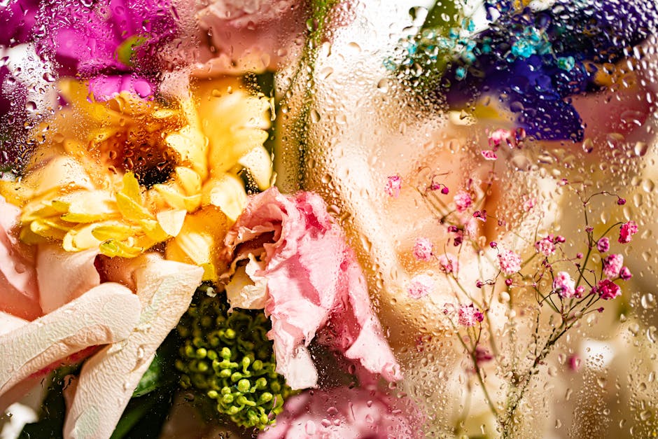 cơn mưa nhẹ nhàng