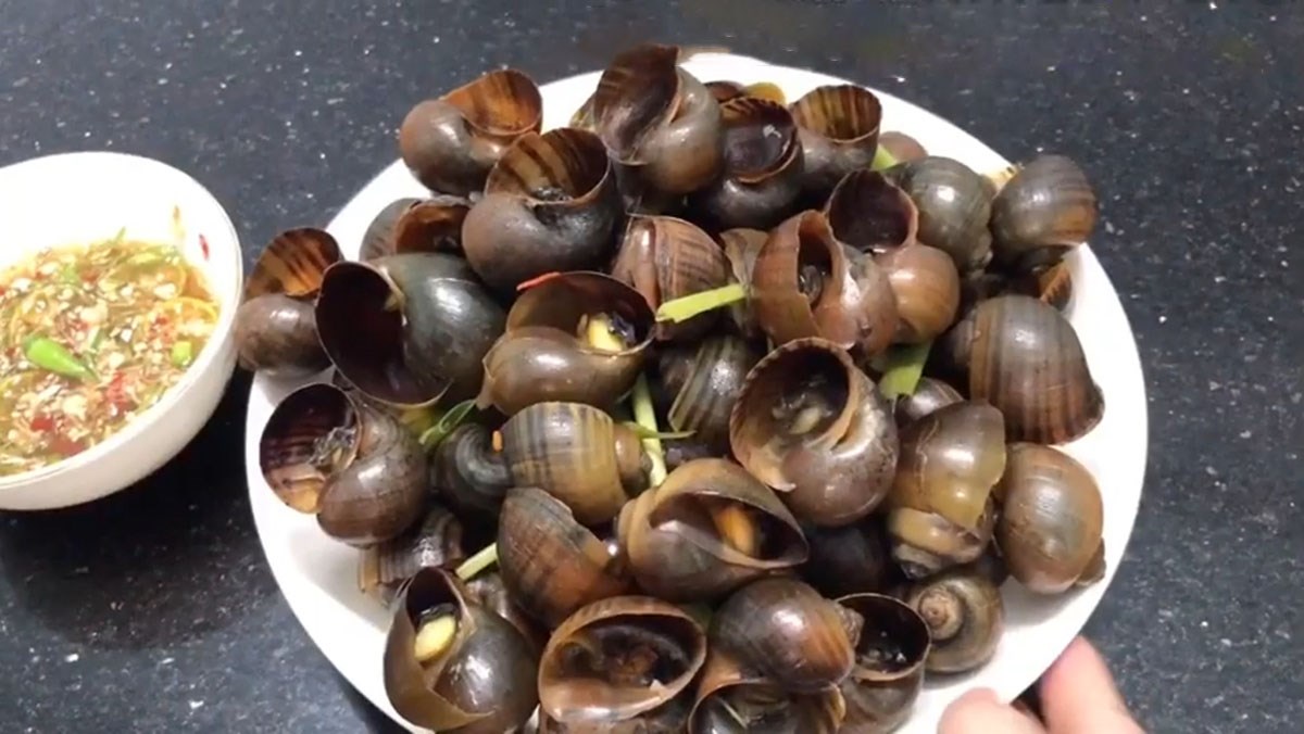 Ốc hấp sả: Món ngon dễ làm, thơm lừng cả nhà mê