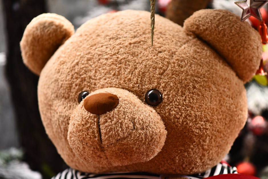 gấu bông lập trình