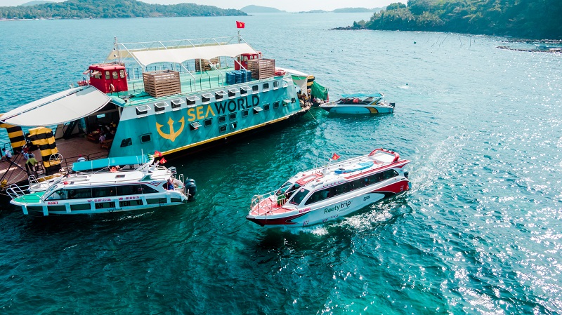 lặn ngắm san hô