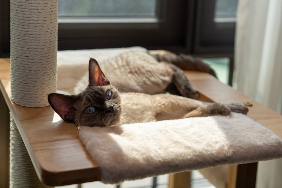 người ngáp buồn ngủ