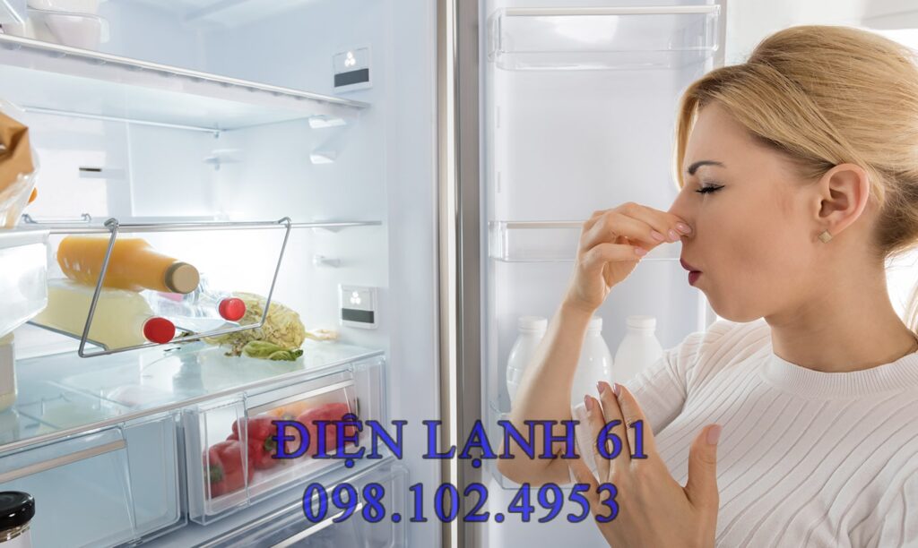 nguyên nhân tủ lạnh có mùi
