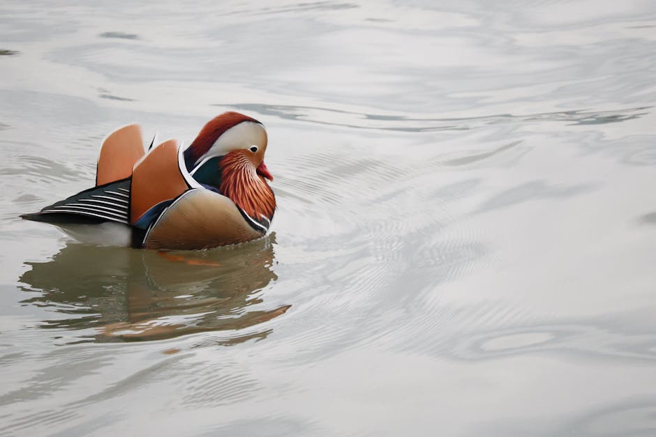 Quan lớn phong kiến