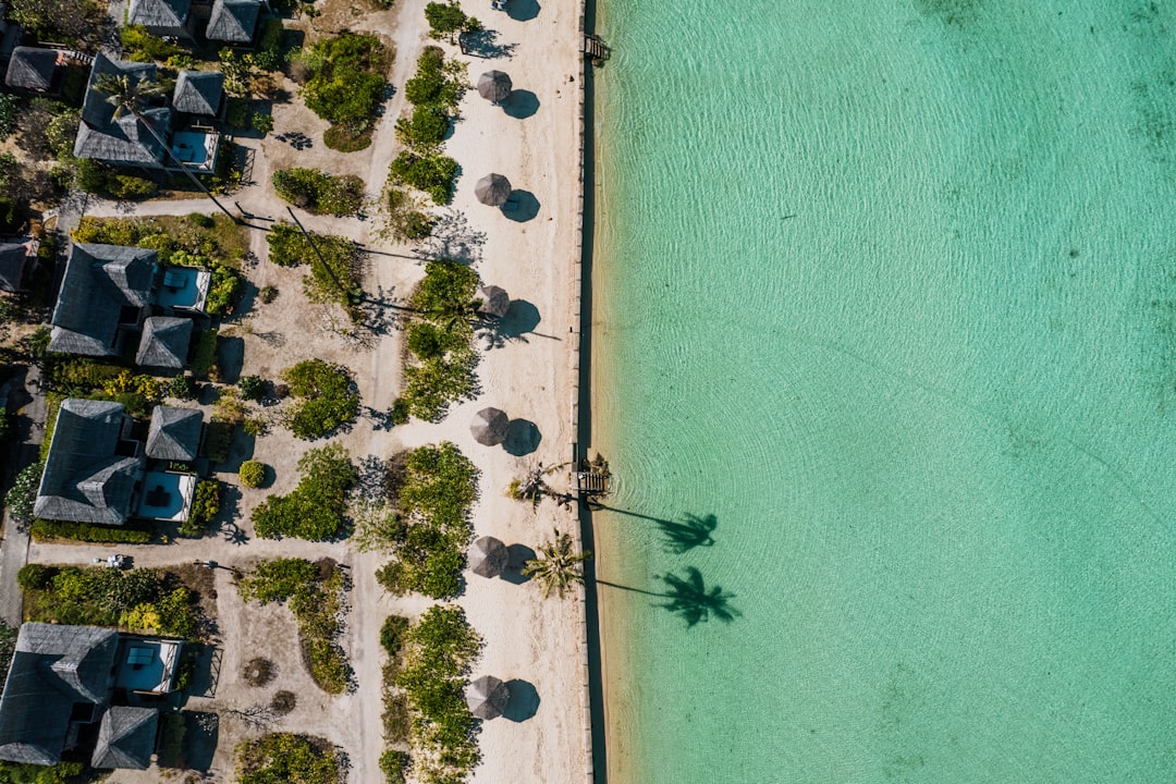 Các loại hình du lịch phổ biến hiện nay.