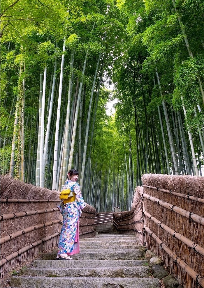 rừng tre Arashiyama