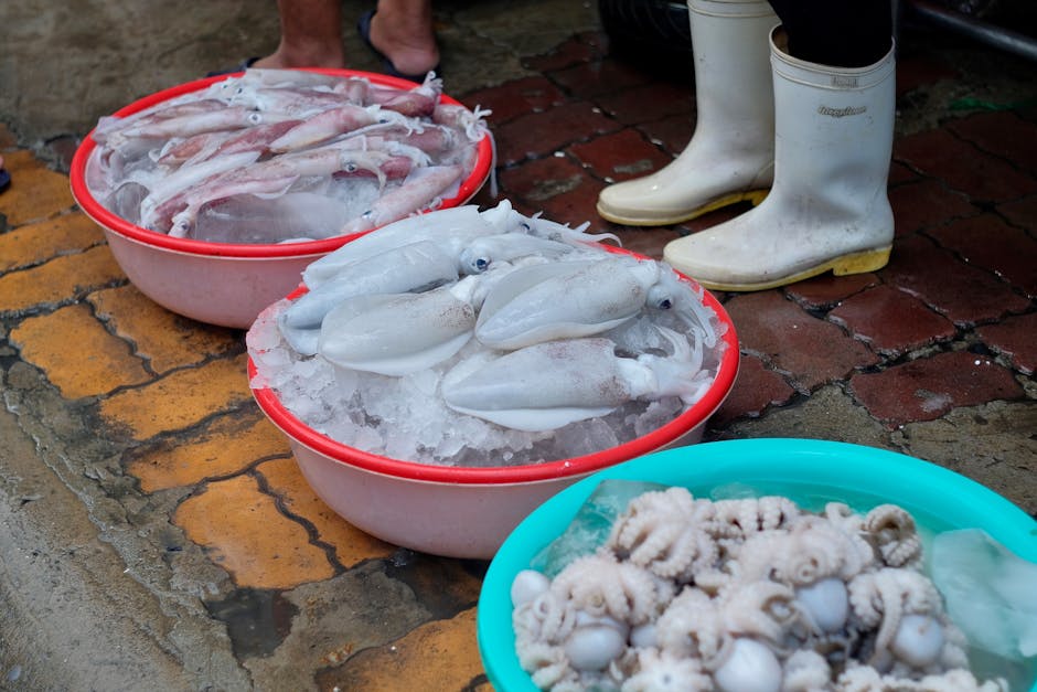 sơ chế mực tươi