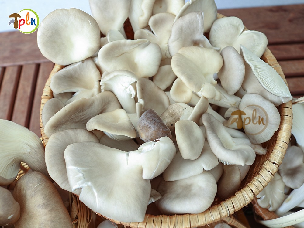 sơ chế nấm