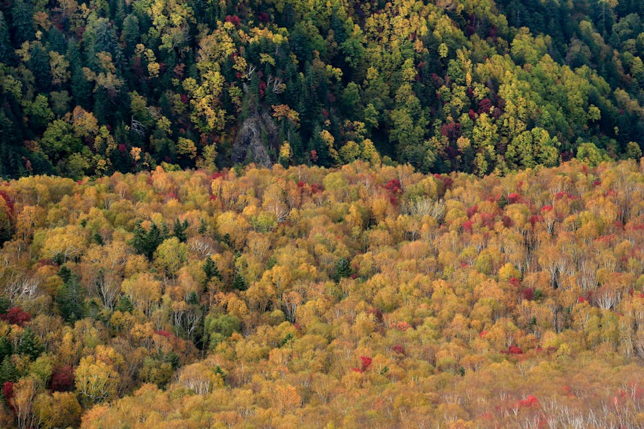 so sánh độ phức tạp Big-O