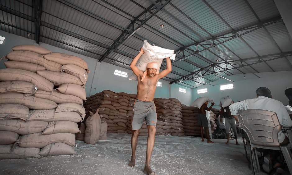 stack hoạt động