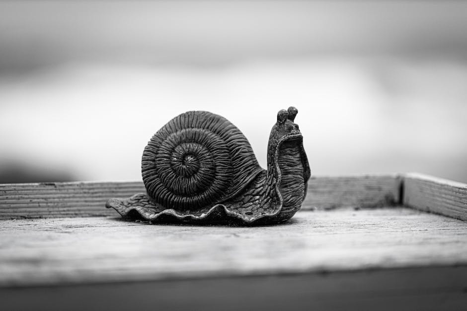 vòng đời đối tượng