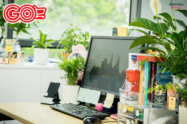 Bàn làm việc gọn gàng với cây xanh nhỏ