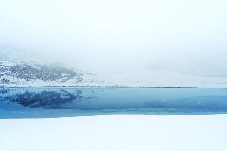 cánh đồng tuyết trắng