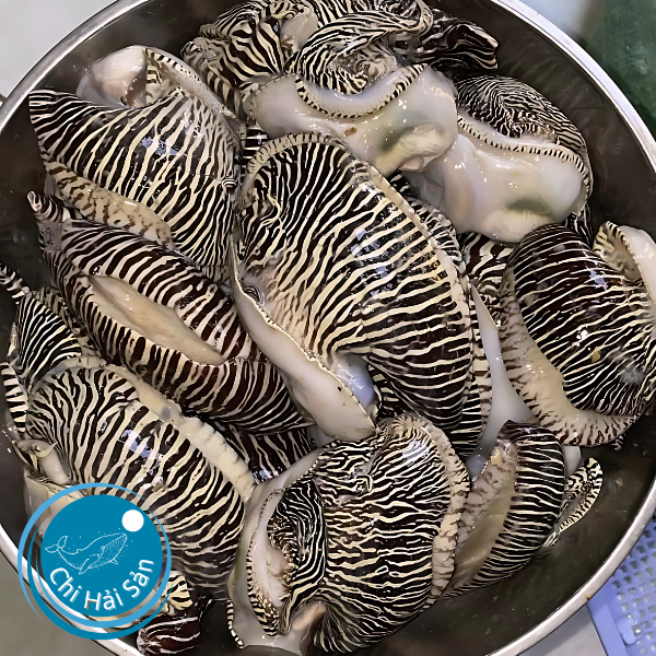 Hải sản đã sơ chế sạch sẽ trên đĩa