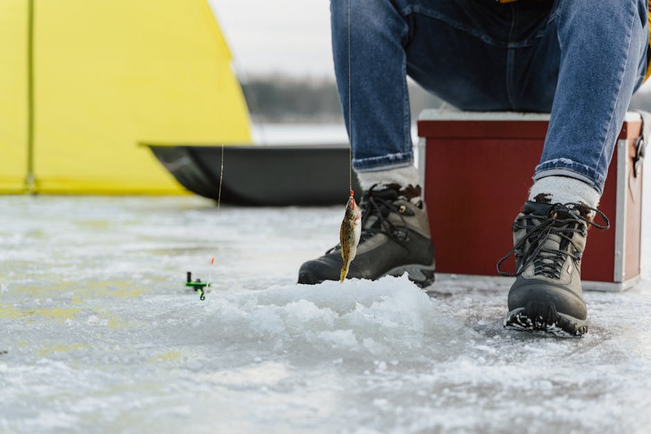 Hồ đóng băng một phần