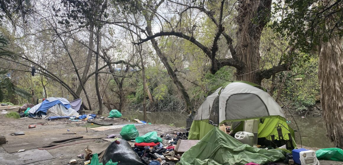 Lều trại trong khu rừng