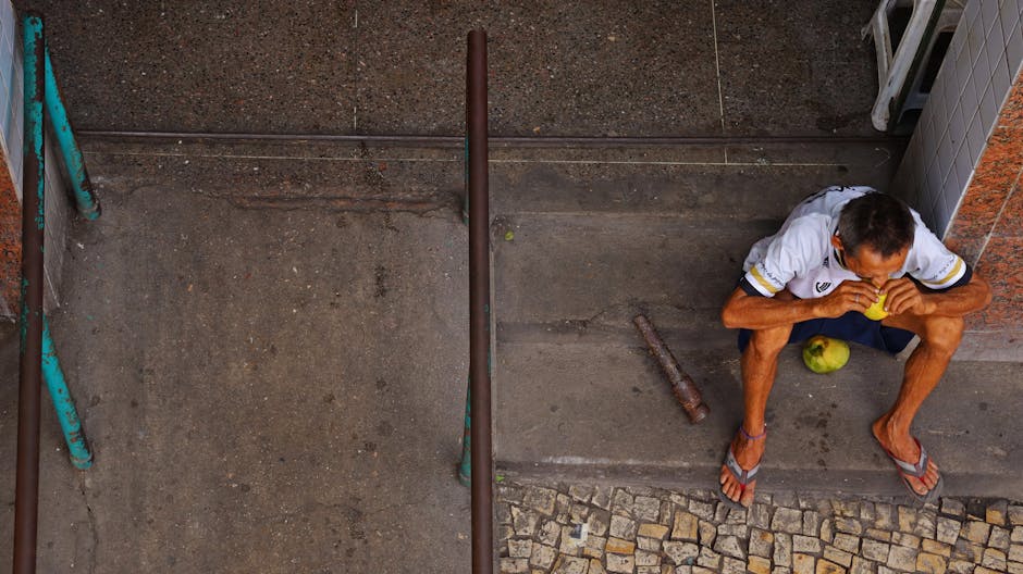 Minh họa các loại nguyệt thực