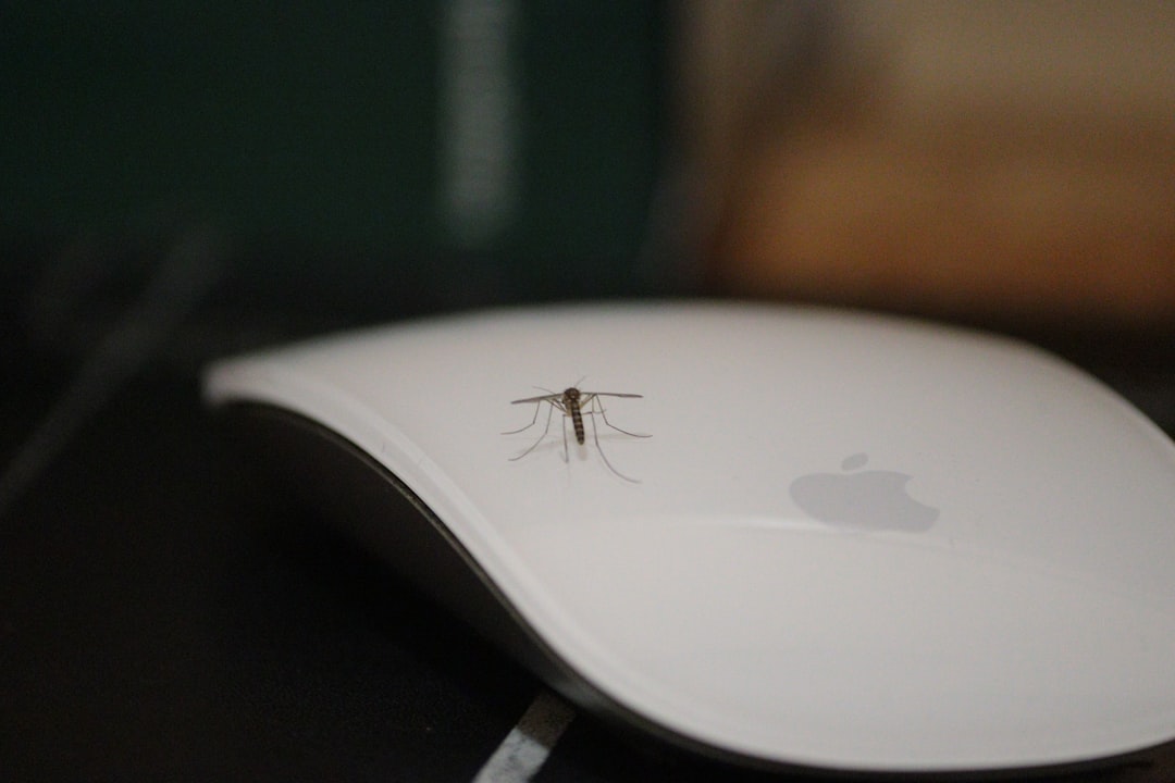 phòng chống muỗi nhà