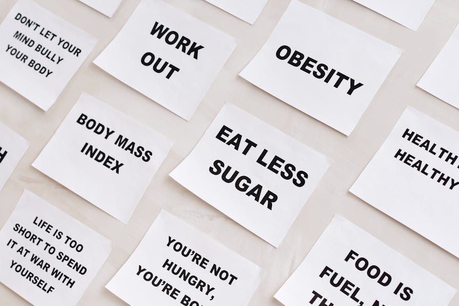 Gấu đang ăn quả mọng trước mùa đông