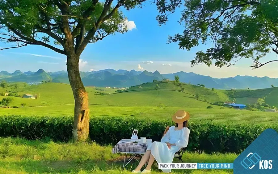 Người đang sắp xếp hành lý