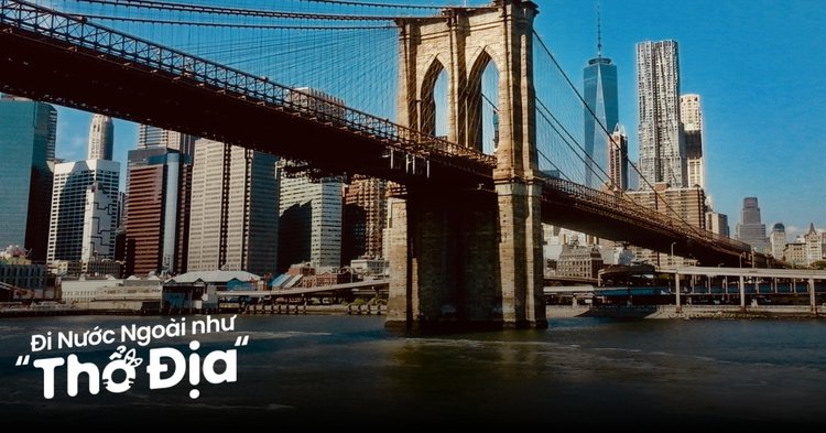 Người dùng đọc đánh giá khách sạn trên điện thoại