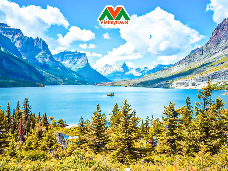 Nhóm người học kỹ năng sinh tồn cơ bản trong rừng