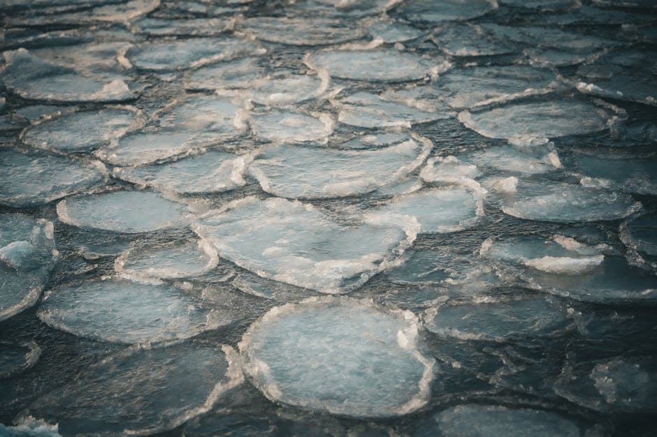 Ly nước có đá nổi trên bề mặt