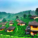 Homestay vùng núi: Kinh nghiệm chọn và trải nghiệm thực tế