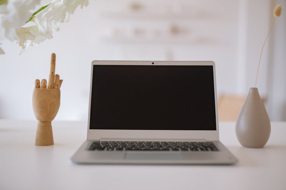 Màn hình cài đặt Everything đơn giản và nhanh chóng