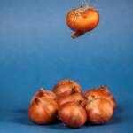 Mẹo khử mùi hành tỏi trên tay: Giữ bếp núc thơm tho