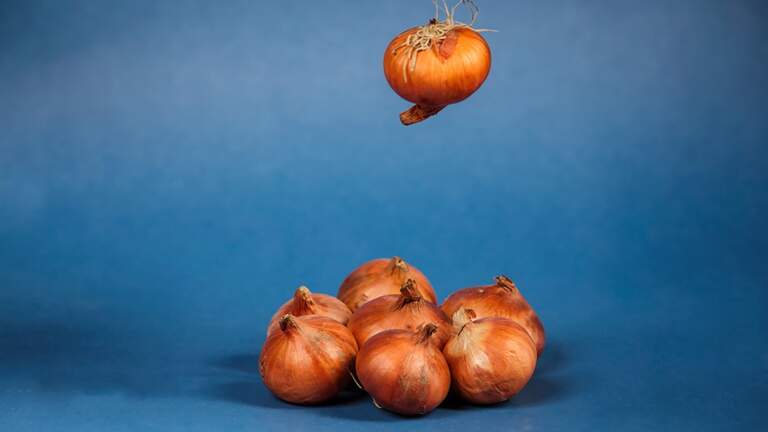 Mẹo khử mùi hành tỏi trên tay: Giữ bếp núc thơm tho