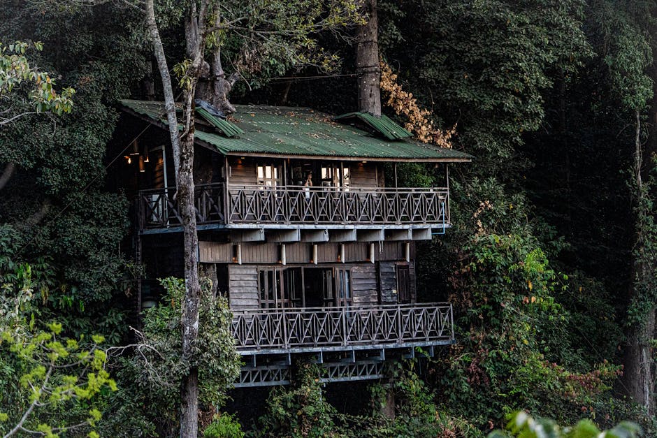 Ngôi nhà gỗ giữa rừng cây xanh