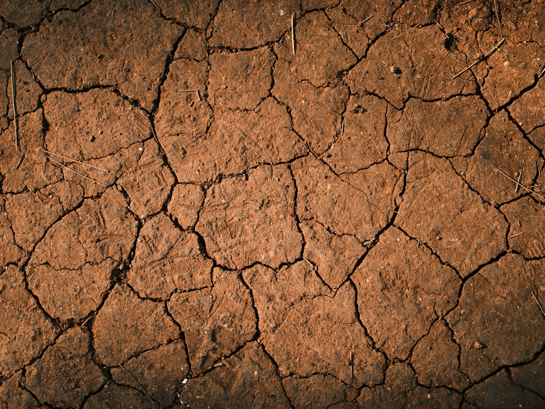 cracked Earth surface cracked Earth surface